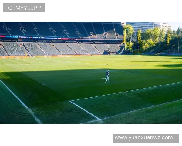 特权风云 足球巨星特为主宰绿茵场的传奇与荣耀