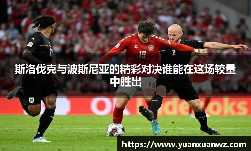 斯洛伐克与波斯尼亚的精彩对决谁能在这场较量中胜出